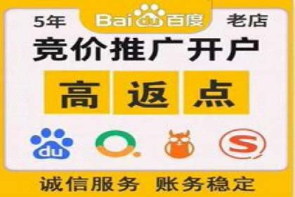 某企业选择SEM外包公司的决策与成果展示